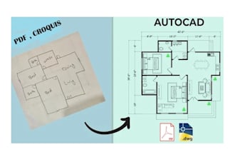 convert PDF or image to autocad dwg 2d and 3d professionally