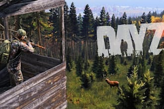 create custom dayz mods, scripts and server coding for you