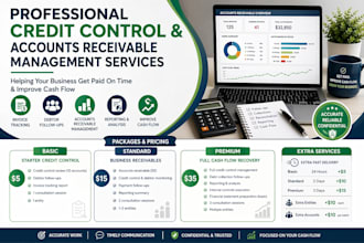 manage accounts receivable and debt collection