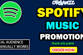 do spotify music promotion, USA spotify music promotion