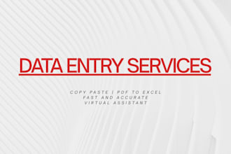 do data entry, copy paste, PDF to excel and virtual assistant work