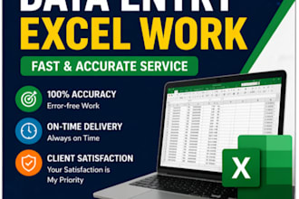 accurate data entry, copy paste, typing, and excel work
