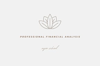 do profissional financial analysis and data entry in excel