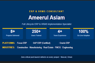 provide erp and hrms consulting and configuration services