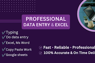do data entry, excel work and copy paste accurately