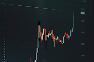 build a time series forecasting model for any business