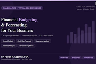 create a financial budget, forecast and business plan
