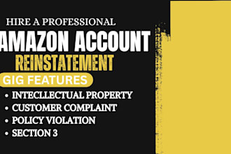 professional amazon reinstatement expert