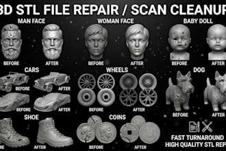 do stl file repair, fix mesh, edit custom modification, 3d model for 3d printing