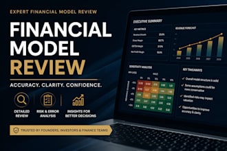 review your financial model and provide expert insights