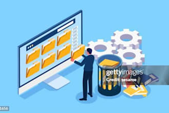 clean, organise and migrate data professional