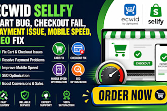 fix ecwid sellfy cart checkout error payment issue mobile speed SEO optimization