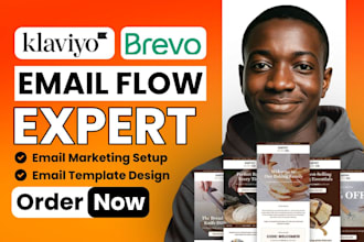 klaviyo email flows setup shopify klaviyo flows figma klaviyo email template