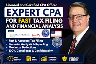 expert CPA for fast tax filling and financial analysis