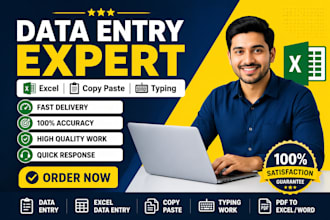 data entry, excel data entry, copy paste work professionally
