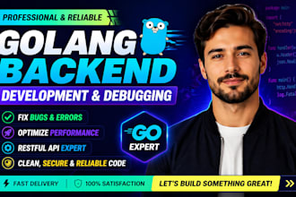 code fix debug backend program golang api web app go programming language