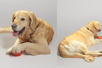 create 3d printable dog model stl file for 3d printing and resin printing