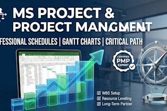 create an ms project schedule and project management