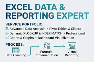 provide data, business, financial analytics service using excel