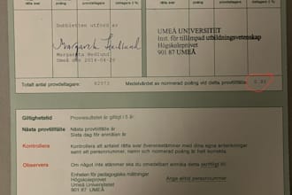 proofread and analyze text in swedish and some english too