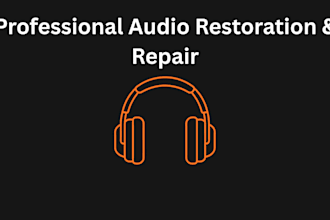 professionally clean up your audio