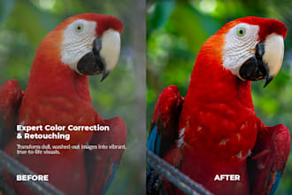 enhance your wildlife and nature photos