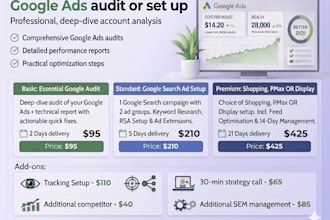 audit or set up your google ads