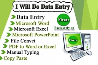 data entry in excel