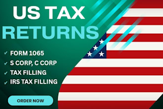 prepare and efile usa tax returns for individual and business 1040 1065