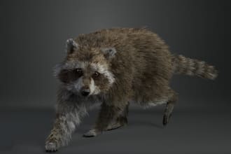 create 3d animal for vfx, xgen fur with quadruped rig,wild life animation,zbrush