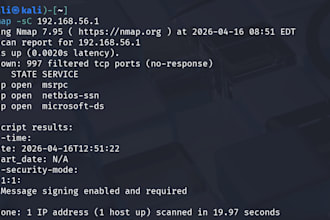 perform a wordpress security audit assessment report
