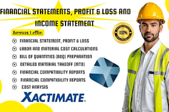 do profit loss balance sheet income verification compatibility report finance