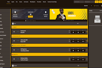 build sportbook website, bet website, casi game website with modern UI and panel