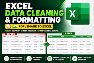 do excel data cleaning, formatting, PDF and image to excel