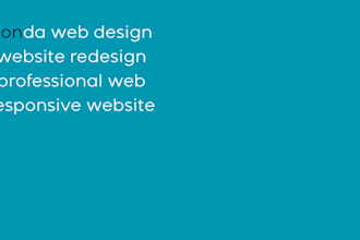 do website design  and professional web