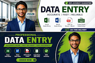 do data entry, PDF to excel, copy paste, and web search