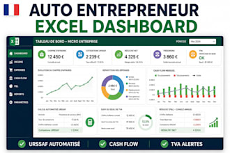 design automated excel dashboard cash flow tracker for french micro enterprise