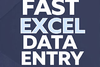 do excel data entry in 24 hours