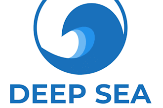 design a professional brand logo with full copyrights