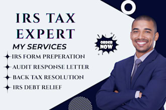 assist with irs audit help and back taxes resolution