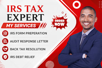 assist with irs audit help and back taxes resolution