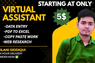 do fast and accurate excel data entry, copy paste and typing work