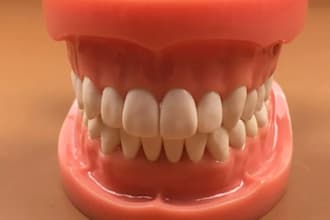 prepare dental care products formulation natural artificial teeth formulation