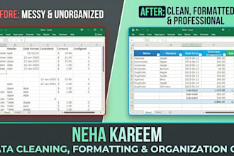 clean, format, and organize your excel data professionally