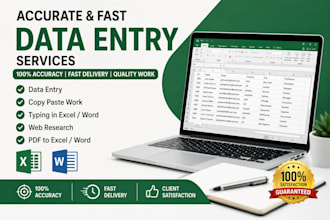 do accurate data entry typing and ms excel work