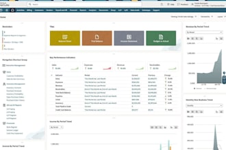 do netsuite administration, certified netsuite specialist