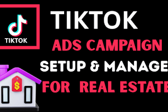 setup tiktok leads  generation ads for real estate and mortagages