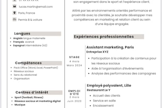 write or improve your french CV