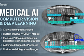 develop ai models for medical imaging and computer vision