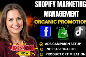 increase shopify website traffic shopify product marketing